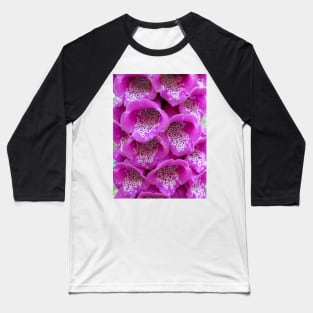 Common Foxglove (Digitalis purpurea) Baseball T-Shirt